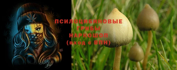 твердый Алексеевка