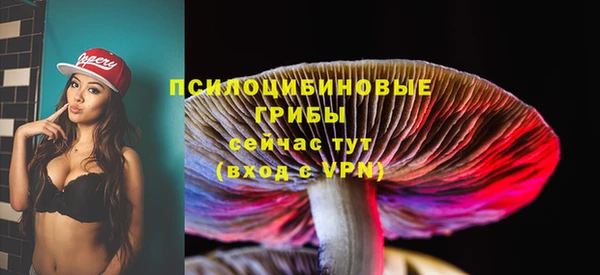 крисы Медногорск