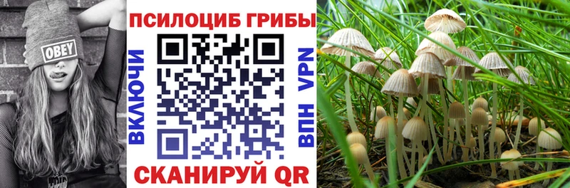 дарнет шоп KRAKEN маркетплейс Псилоцибиновые грибы Psilocybine cubensis Красногорск